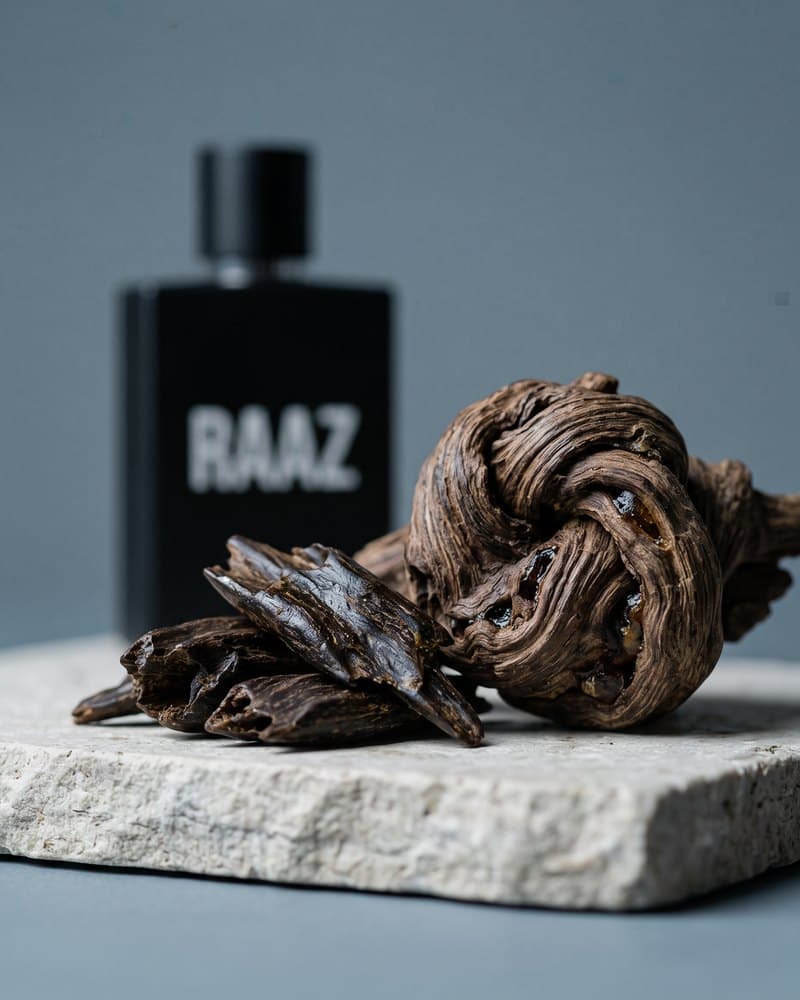 چرم سیاه، نُت پایه