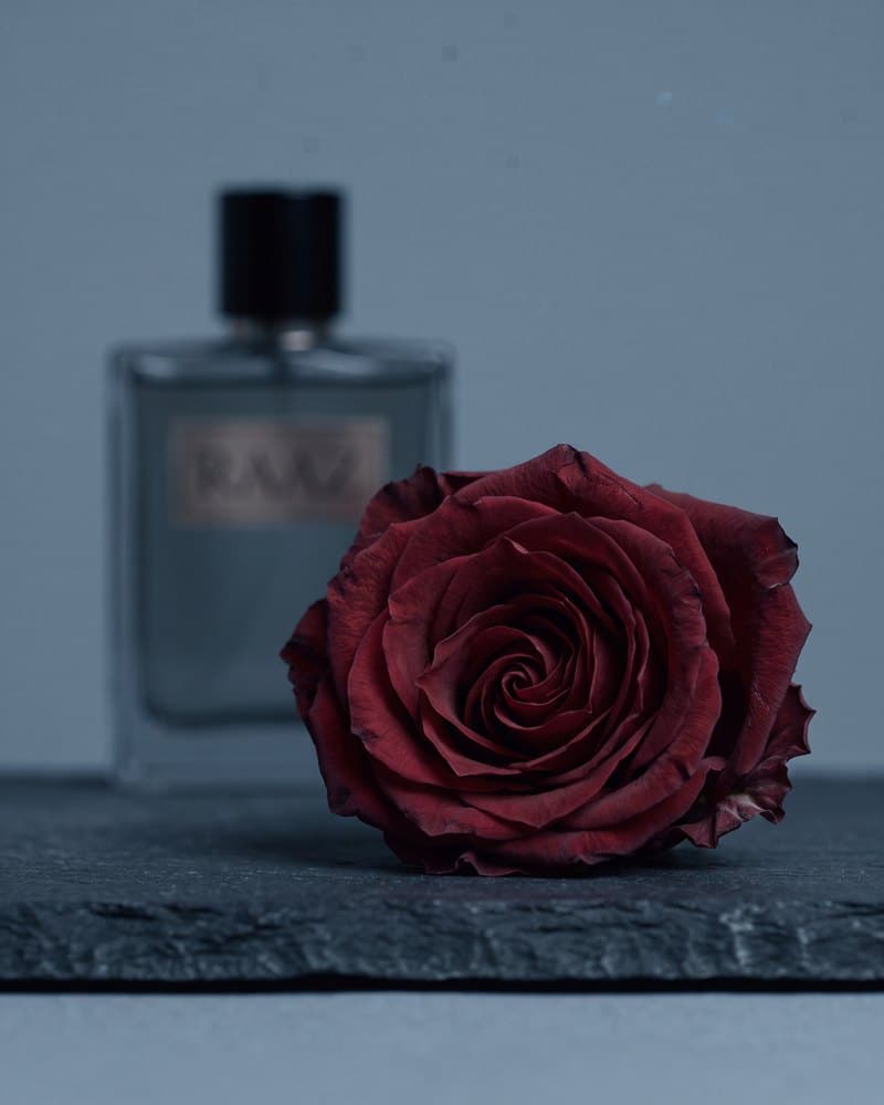 مشکِ تن، نُت پایه